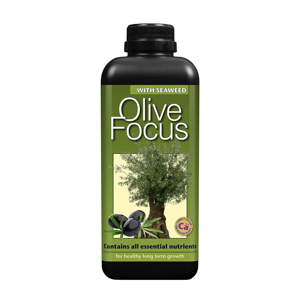 Growth Technology Ltd Olive Focus Liquid Concentrated Fertiliser 1 Litre
