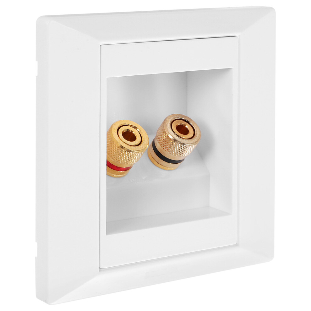Wall Socket Connection Port With 2 Speaker White 4762016947507