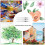 Watercolour Brush Set,12 Pack Water Brush Refillable Aqua Paint Brushes Ink and Water Brush 7