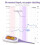 Easy@Home Smart Basal Thermometer, Large Screen and Backlit, Period Tracker with Premom (Purple) 2