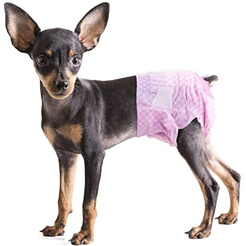 Dog nappies clearance for season