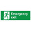Emergency exit safety sign (L) - 1mm Plastic sign - 450m x 150mm 1