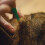 FRONTLINE Frontline For Cats (Frontline Plus For Cats) 7