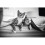 FRONTLINE Frontline For Cats (Frontline Plus For Cats) 8