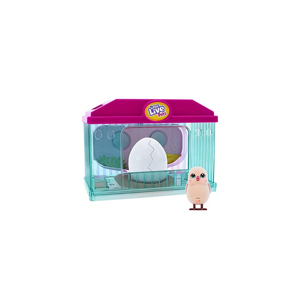 Little Live Pets; Surprise Chick Hatching House; Cute Interactive Collectible Toy Chick Chirps & Taps; Hatches Out Of Egg & Hops About