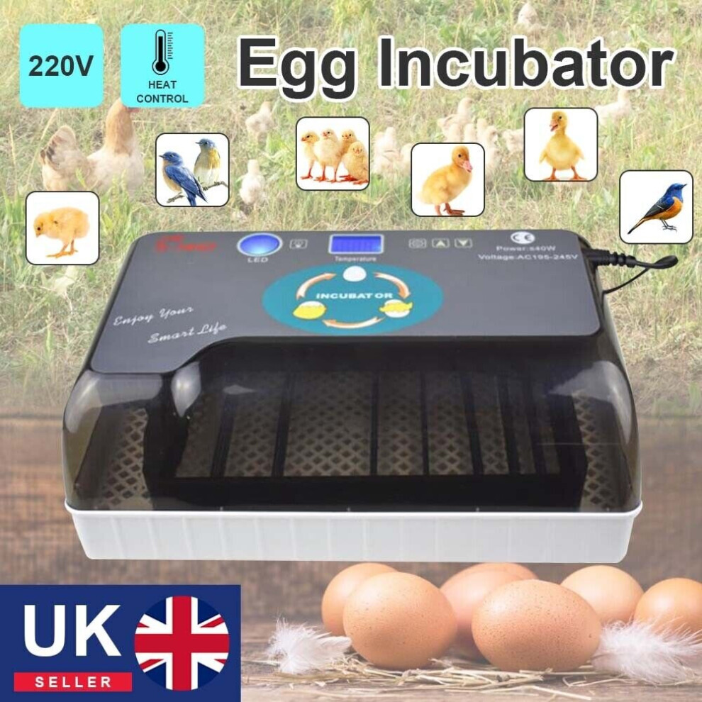 Digital 12 Egg Incubator Temperature Control Turning Chicken Hatcher Automatic