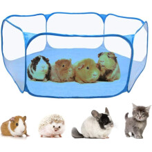Guinea Pig Accessories for Guinea Pig, Rabbits, Hamster