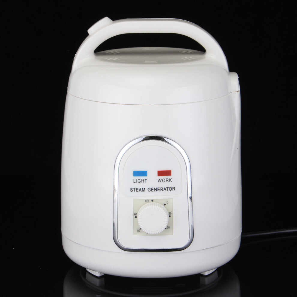 1.8L Home Sauna Spa Steamer Steam Generator For Portable Sauna Tent Pot 110/220V
