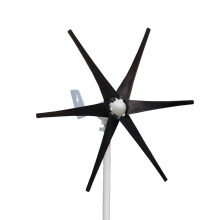 600 W 12/24 V 6 - Blatt Windgenerator für Wohnhäuser Garten - Aerogenerator