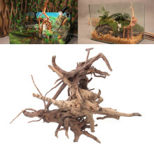 Decorazione albero tronco pesce serbatoio paesaggio wood naturale pianta ceppo ornamento