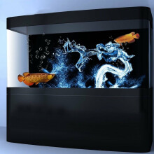 Sfondo Acquario Drago d'Acqua HD Paesaggio Acquario Decorazioni per Acquario