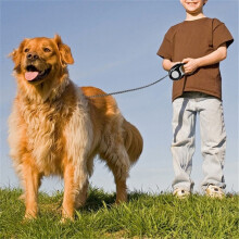 5M Guinzaglio per Cani Automatico Retrattile Estensibile Guinzagli per Animali Domestici Collare per Cani Passeggiata con Cani