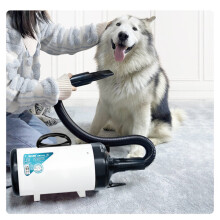 JASE PD9001 Haustier-Blasmaschine 2200 W Niedriggeräusch-Warmwind Haushaltskatze Hund Schneller Haartrockner für Haustierbedarf Pflege