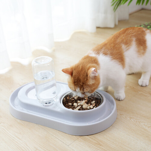 Distributore automatico di acqua per cani e gatti ciotola per cibo 1
