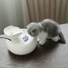 Fontana per cani e gatti distributore automatico d'acqua ciotola in ceramica per bere.