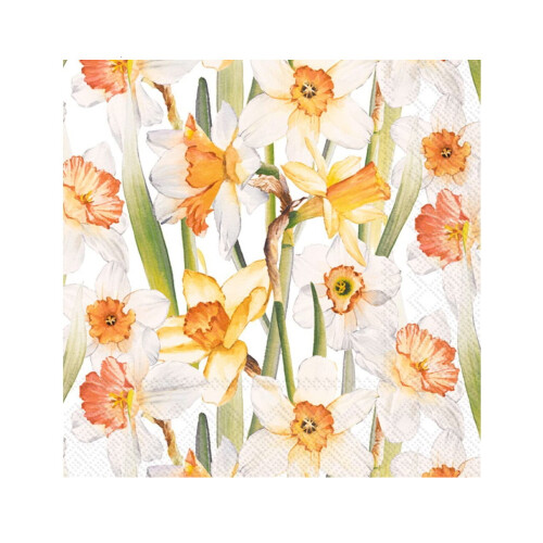 (Cocktail) Spring Daffodil Napkins Cocktail/Lunch Disposable