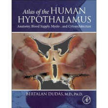 Atlas of the Human Hypothalamus Anatomy, Blood Supply, Myelo, and Cytoarchitecture