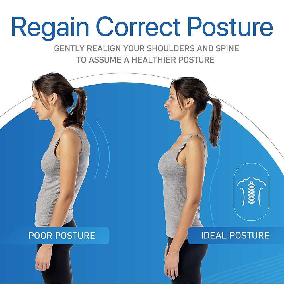 Sports Laboratory Posture Corrector Back Support Brace Fitness Workout on OnBuy
