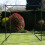 Golf Driving Practice Cage 10ft 3m High Impact Hitting Net Kunstrasenmatte 5