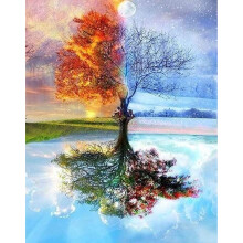 DIY Oil Painting by Numbers Kit for Adults Children Beginner