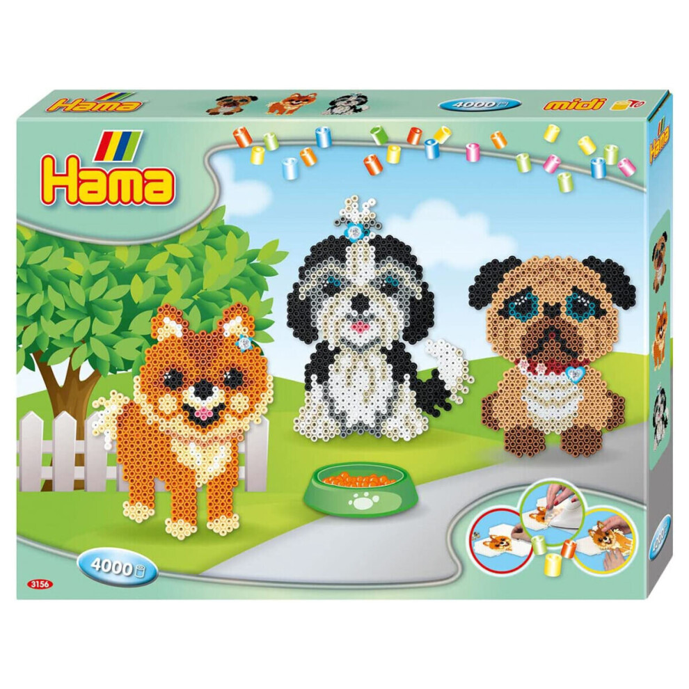 Dogs Delight Gift Box