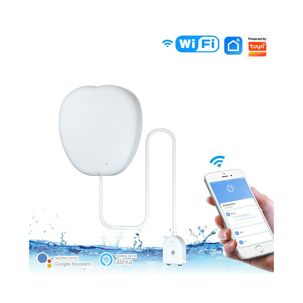 Moeshouse Wifi Tuya Water Leakage Detector Wireless Remote App Monitor Water Leakage Detection Alarm Notification Push Work With Alexa Google 772276005705