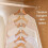 50-Pack - Clothes Hanger Hook for Hanger - Save space in wardrobe 11