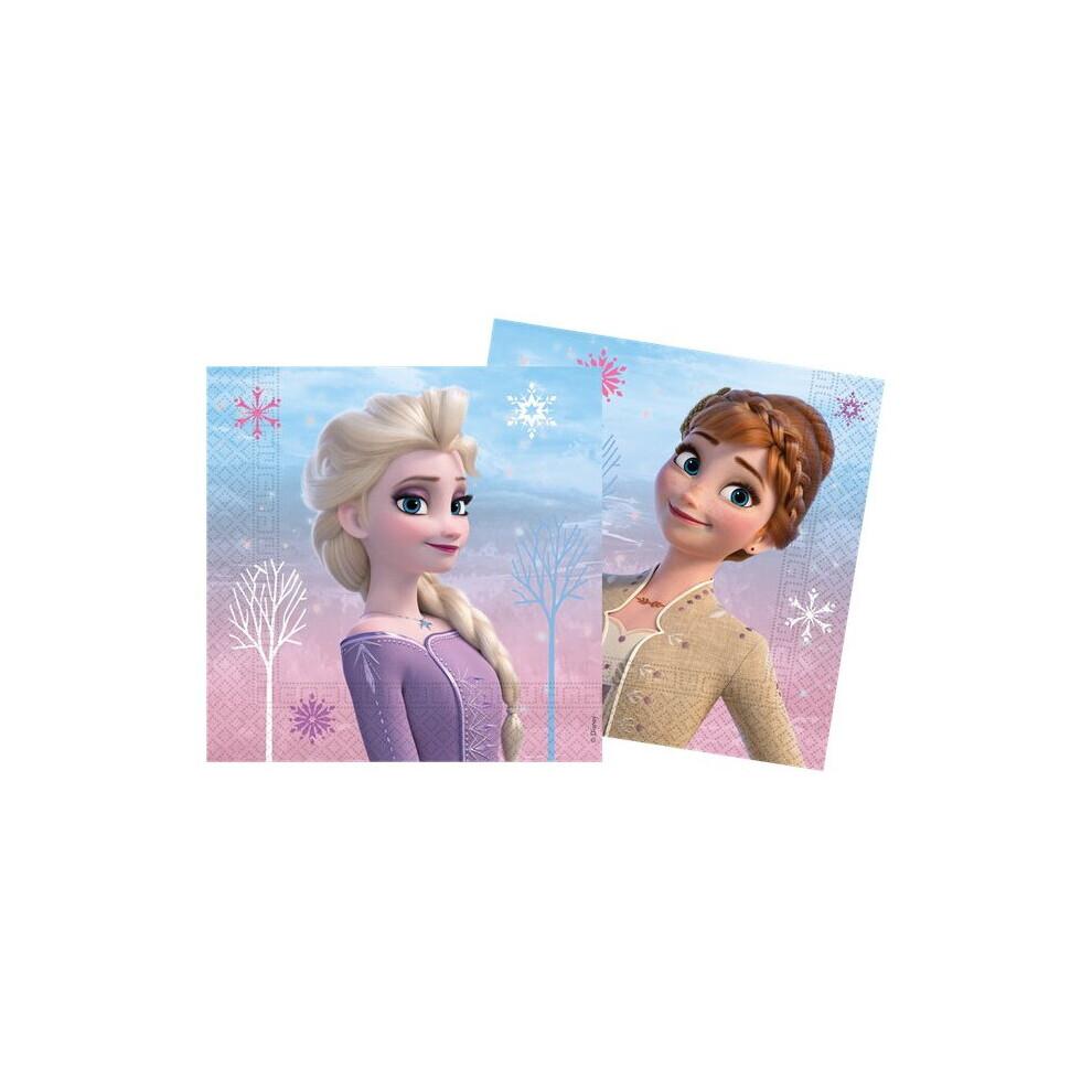 Frozen Film Themed Kids Trend Party Disposable Paper Lunch Napkins 20-Pack - Image 3