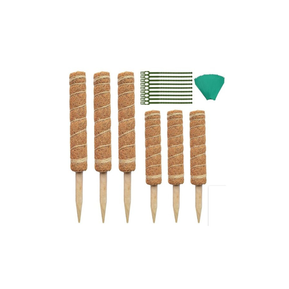 Moss poles plant support frame, coconut poles for indoor climbing plants-image-OPC-PBJ6JPT-NEW