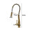 Living And Home (Gold) Modern Kitchen Pull Down Faucet Swivel Tap 4