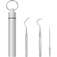Set of 4 Portable Stainless Steel Metal Toothpicks, Reusable Metal Toothpicks with Holder