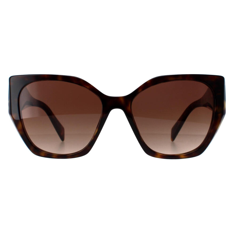 New Prada Men's Sunglasses Pr19zs 2Au6s1 Havana Gradient Brown Pr-19Zs-2Au6s1-55