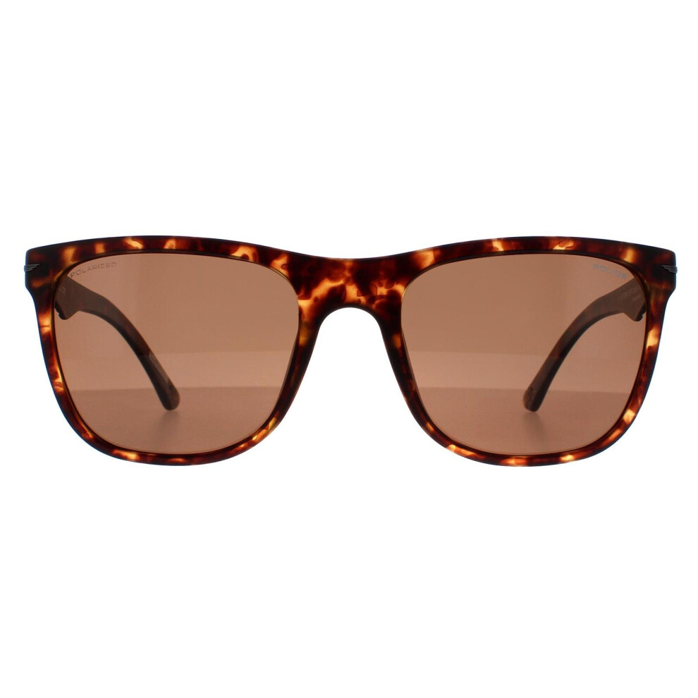 Police Sunglasses Spl357 Blackbird Light 2 878P Matte Dark Havana Brown