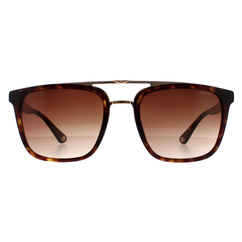 Police Sunglasses Splb41 Origins 35 0722 Havana And Gold Brown Gradient Brown,Gold