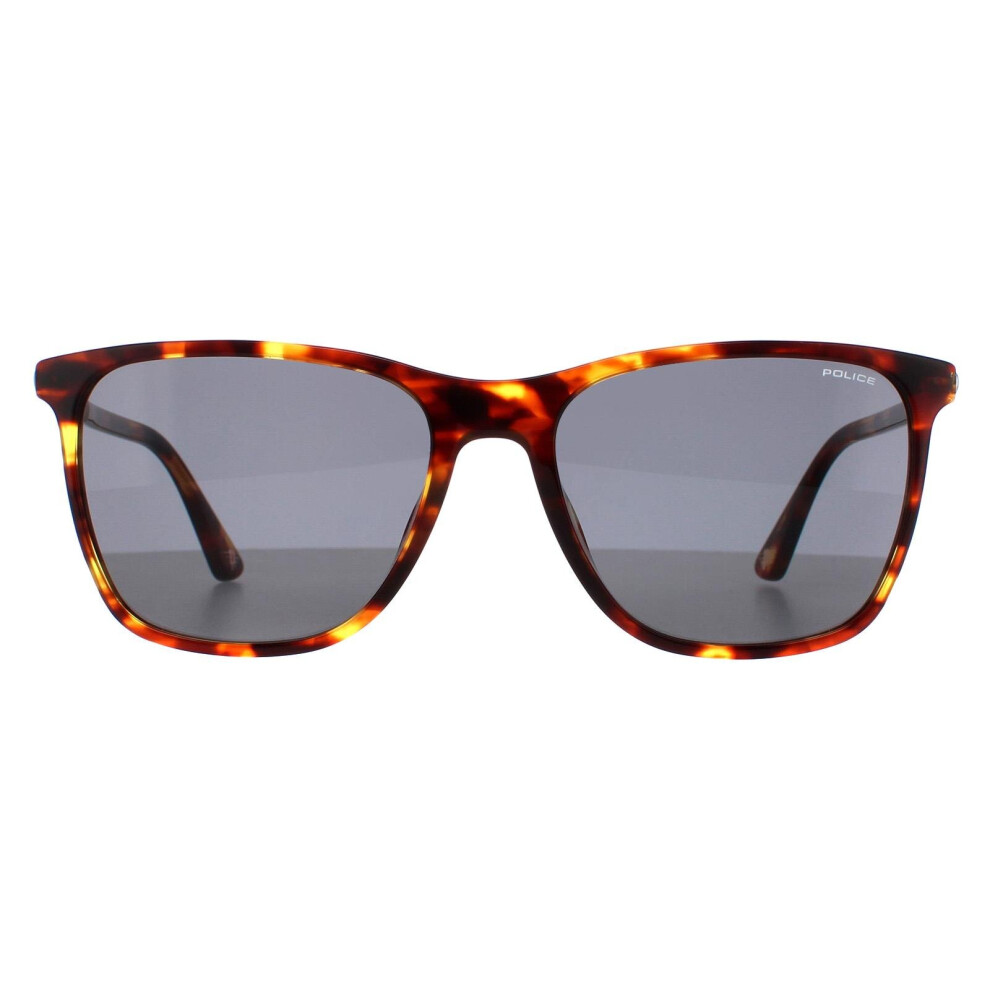 Police Sunglasses Spld45 Origins 46 08Xw Medium Shiny Havana Grey Green Green,Grey