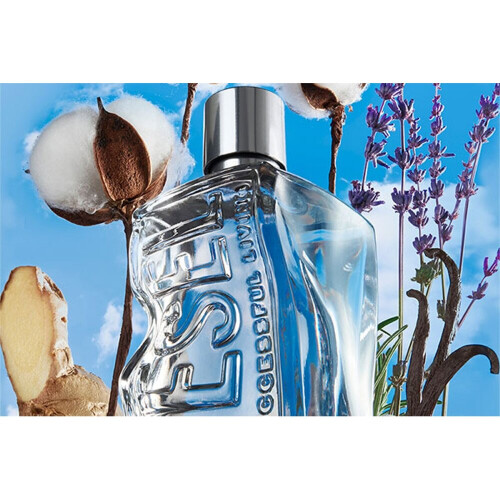 Diesel Diesel D 100ml Eau De Toilette 1