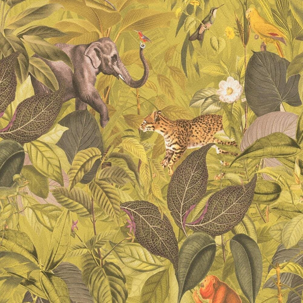 As Creation Textured Jungle Lime Green Wallpaper Floral Animal Print Botanical