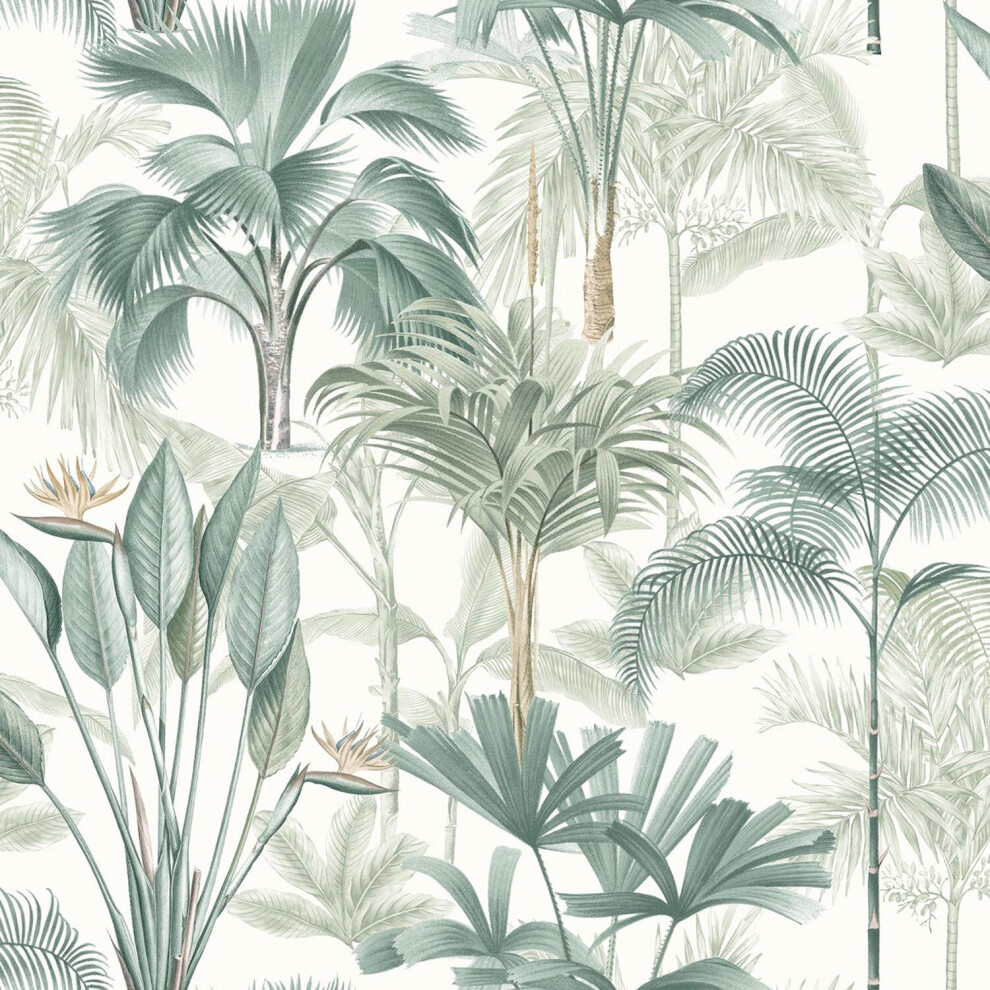 Arthouse King Palm Green Wallpaper Tropical Leaves Botanical White Modern