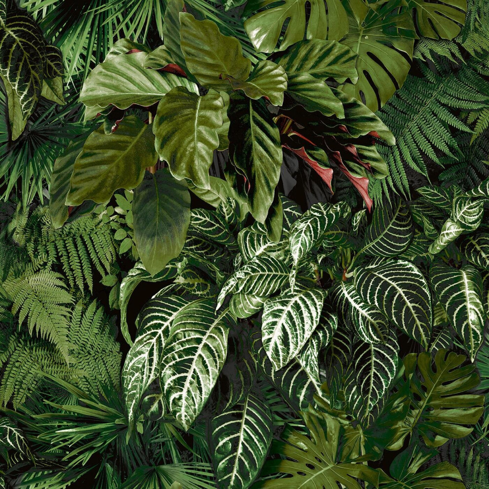 Grandeco Ciara Tropical Palm Wallpaper Botanical Modern Green
