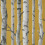 Fine Decor Fine Decor Birch Trees Mustard Wallpaper Modern Contemporary Paste The Wall 1