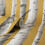 Fine Decor Fine Decor Birch Trees Mustard Wallpaper Modern Contemporary Paste The Wall 2