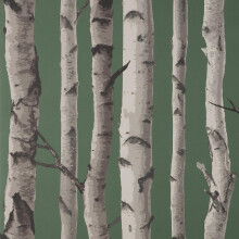 Fine Decor Birch Trees Dark Green Wallpaper Modern Contemporary Paste The Wall