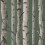 Fine Decor Fine Decor Birch Trees Dark Green Wallpaper Modern Contemporary Paste The Wall 1