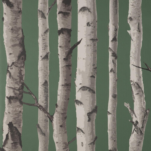 Fine Decor Fine Decor Birch Trees Dark Green Wallpaper Modern Contemporary Paste The Wall