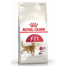 Royal Canin Fit 32 Dry Cat Food (400 g)