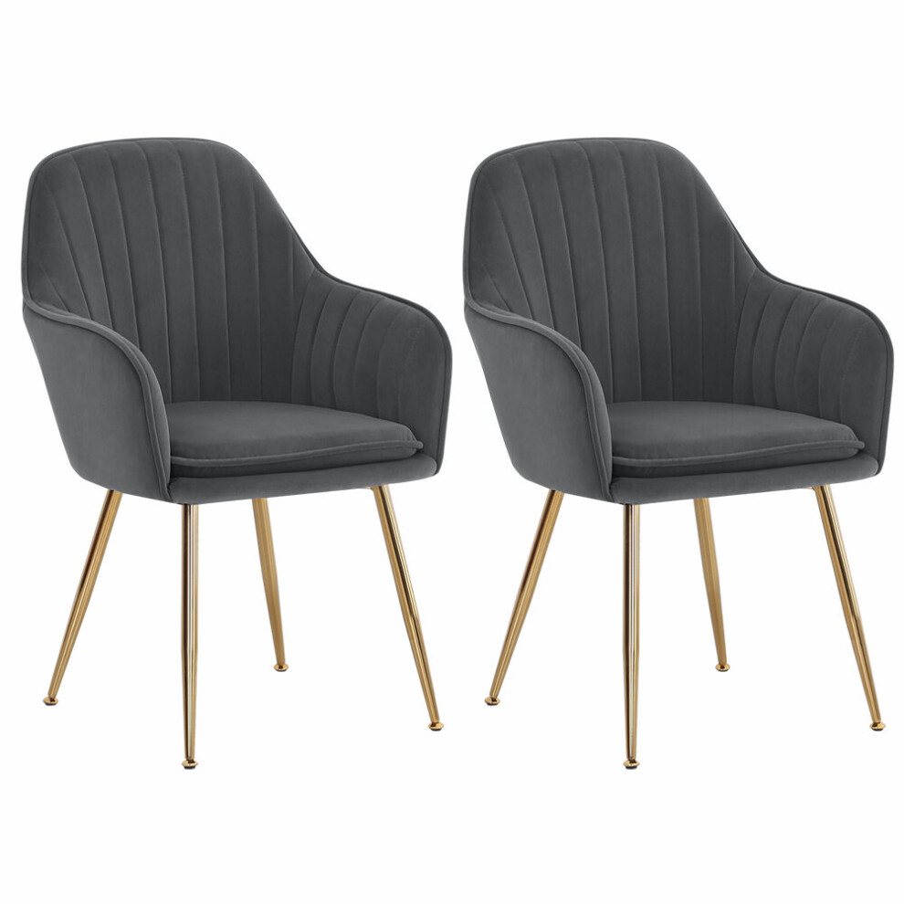 Set of 2 Modern Velvet Upholstered Dining Chairs