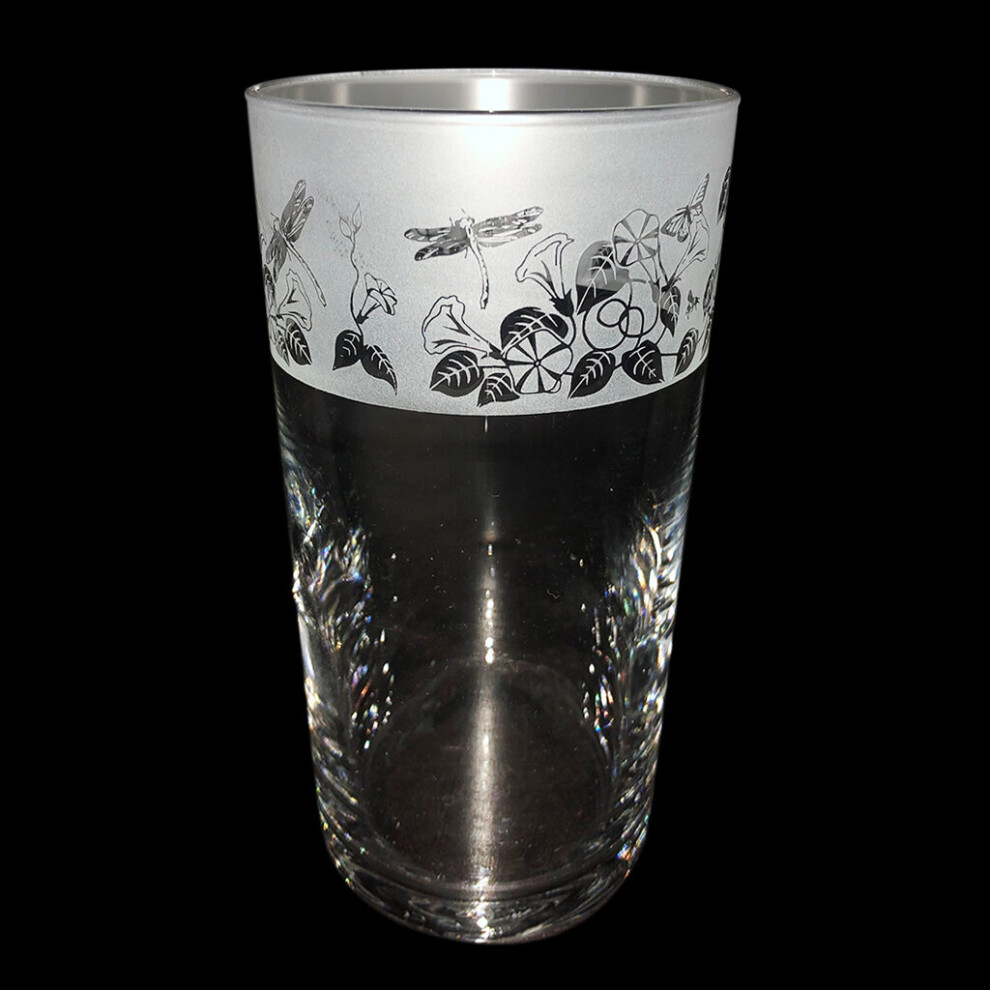 Beer Pint Glass Decorative Drinking Animal Gift For Him Dragonfly