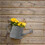 AAMEN Stylish Wall Mounted Planters Wall Hanging Flower Pots 6