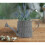 AAMEN Stylish Wall Mounted Planters Wall Hanging Flower Pots 4