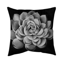 Begin Home Decor 5541-2020-FL93 20 x 20 in. Black & White Succulent-Double Sided Print Indoor Pillow